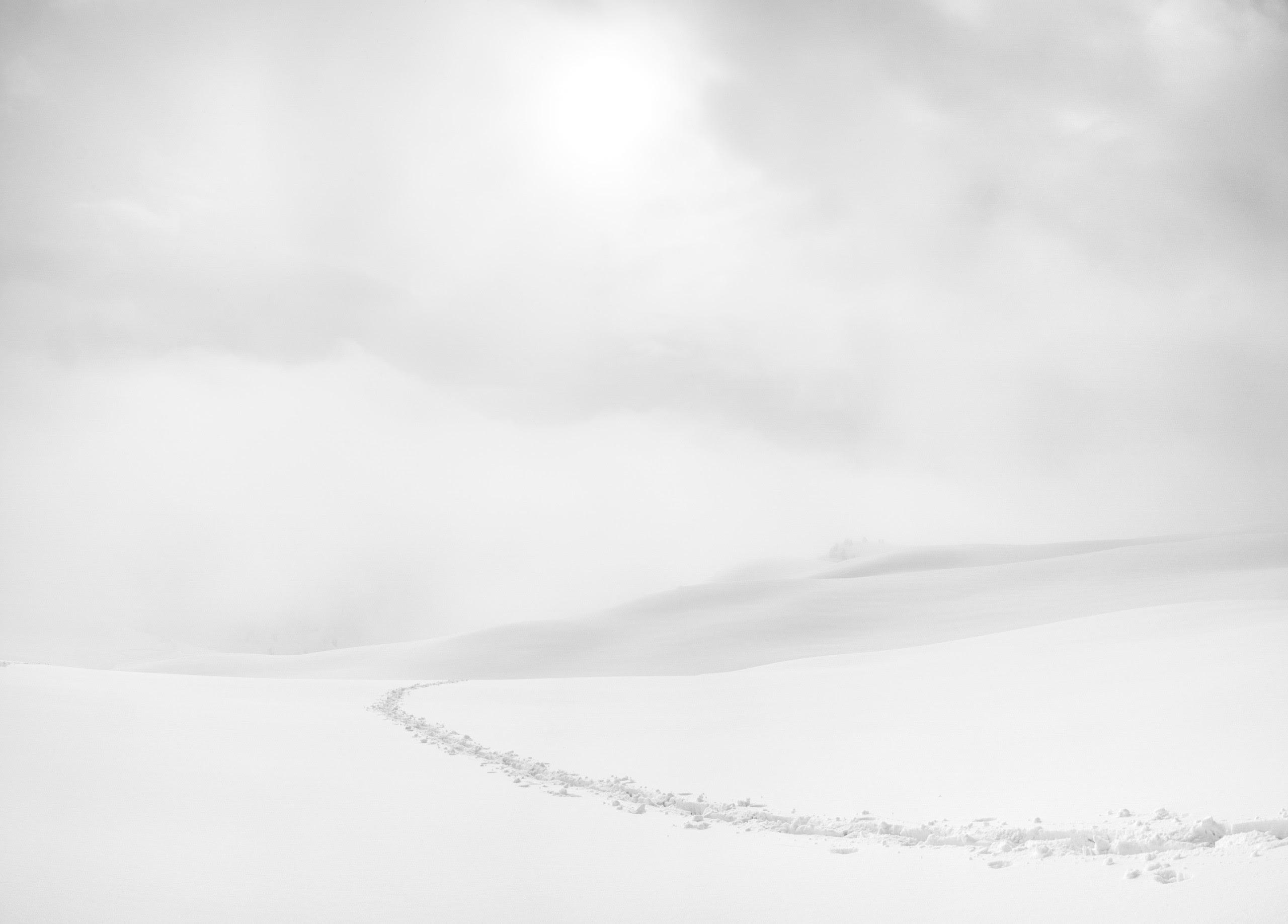 You can become a VIP Buyer and Beat Other Buyers to Hot New Listings Image